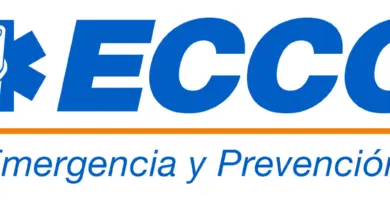 ecco teléfono